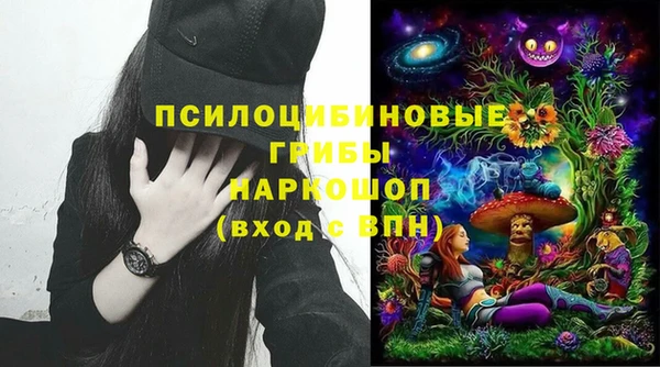 дмт Переславль-Залесский