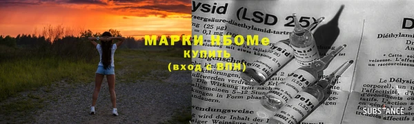 PSILOCYBIN Пересвет