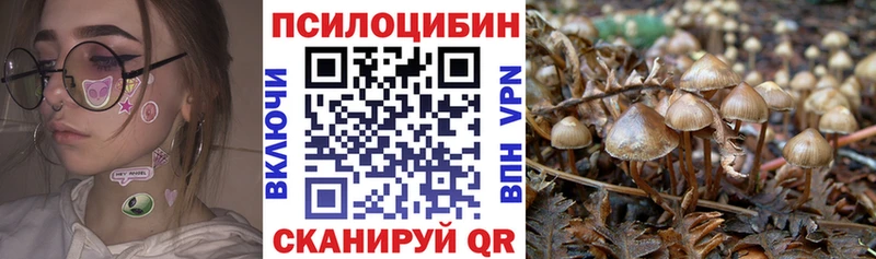продажа наркотиков  Котово  Псилоцибиновые грибы прущие грибы 